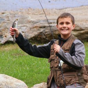 Meet your Posher, Brayden